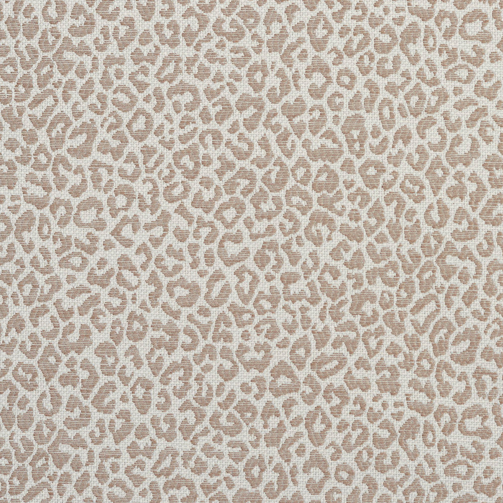 Charlotte Taupe Fabric 1596