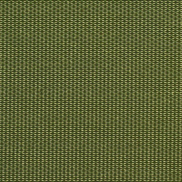 Charlotte Cactus Fabric 1719