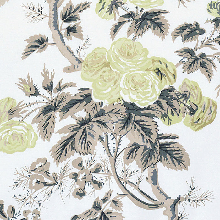 Schumacher Pyne Hollyhock Green Tea Fabric Sample 174455