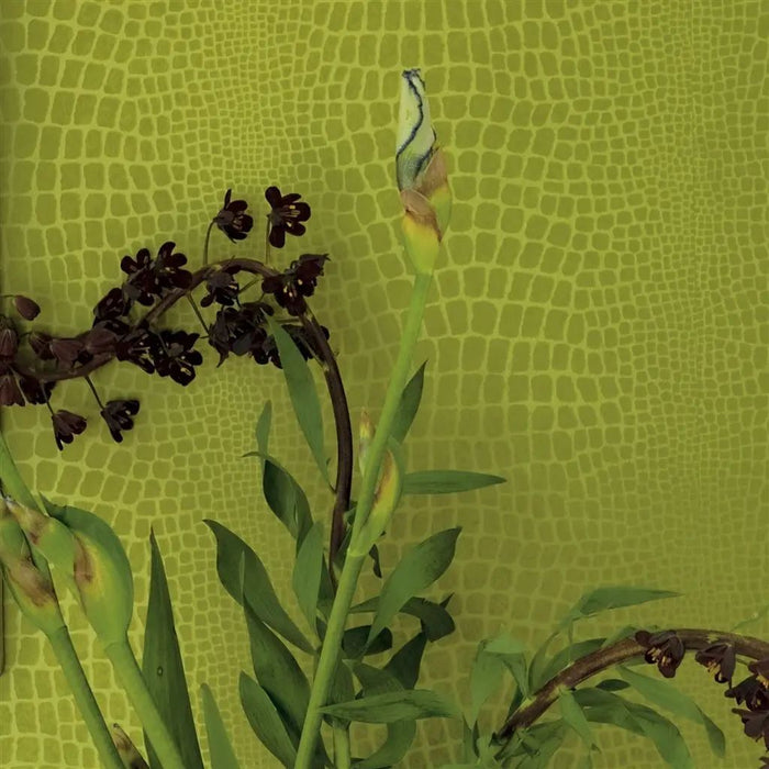 Designers Guild Pietra Grass Wallpaper P544/13