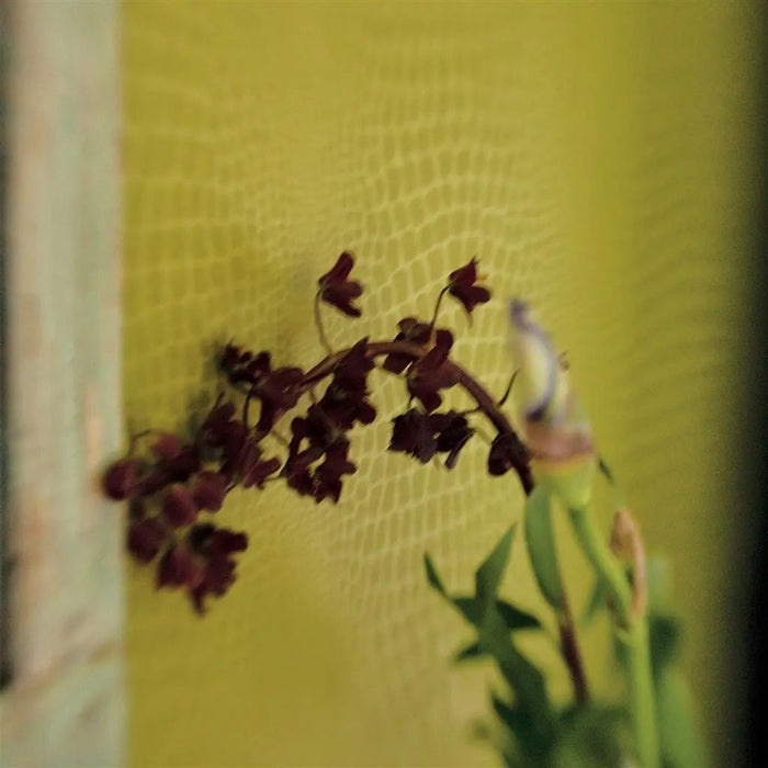 Designers Guild Pietra Grass Wallpaper P544/13