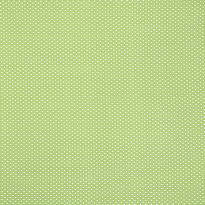 Schumacher Queen B Ii Green Fabric Sample 176560