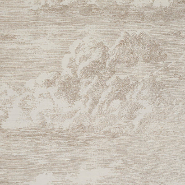 Schumacher Cloud Toile Champagne Fabric Sample 177000