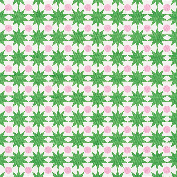 Schumacher Cosmos Watermelon Fabric Sample 177061