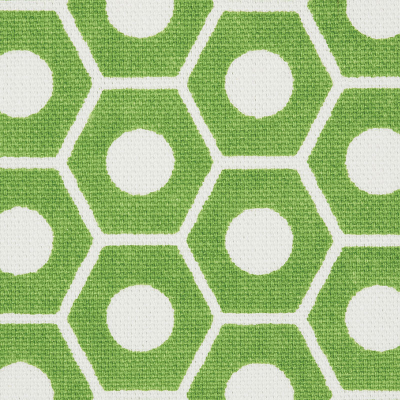 Schumacher Queen B Green Fabric 177075