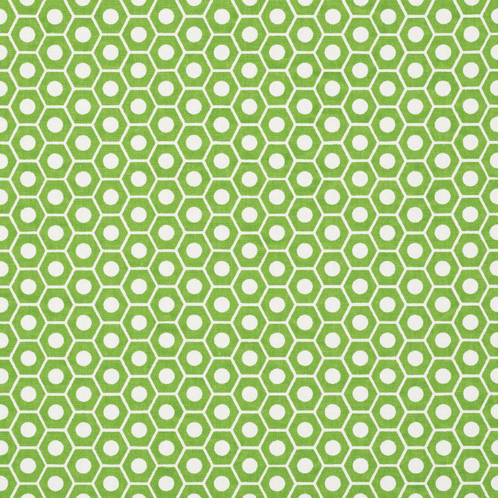 Schumacher Queen B Green Fabric Sample 177075