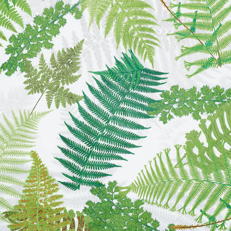 Schumacher Fernarium Green & Ivory Fabric Sample 177590