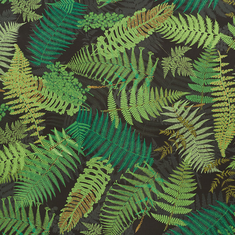 Schumacher Fernarium Green & Black Fabric 177591