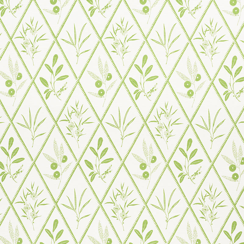 Schumacher Endimione Leaf Fabric 177641