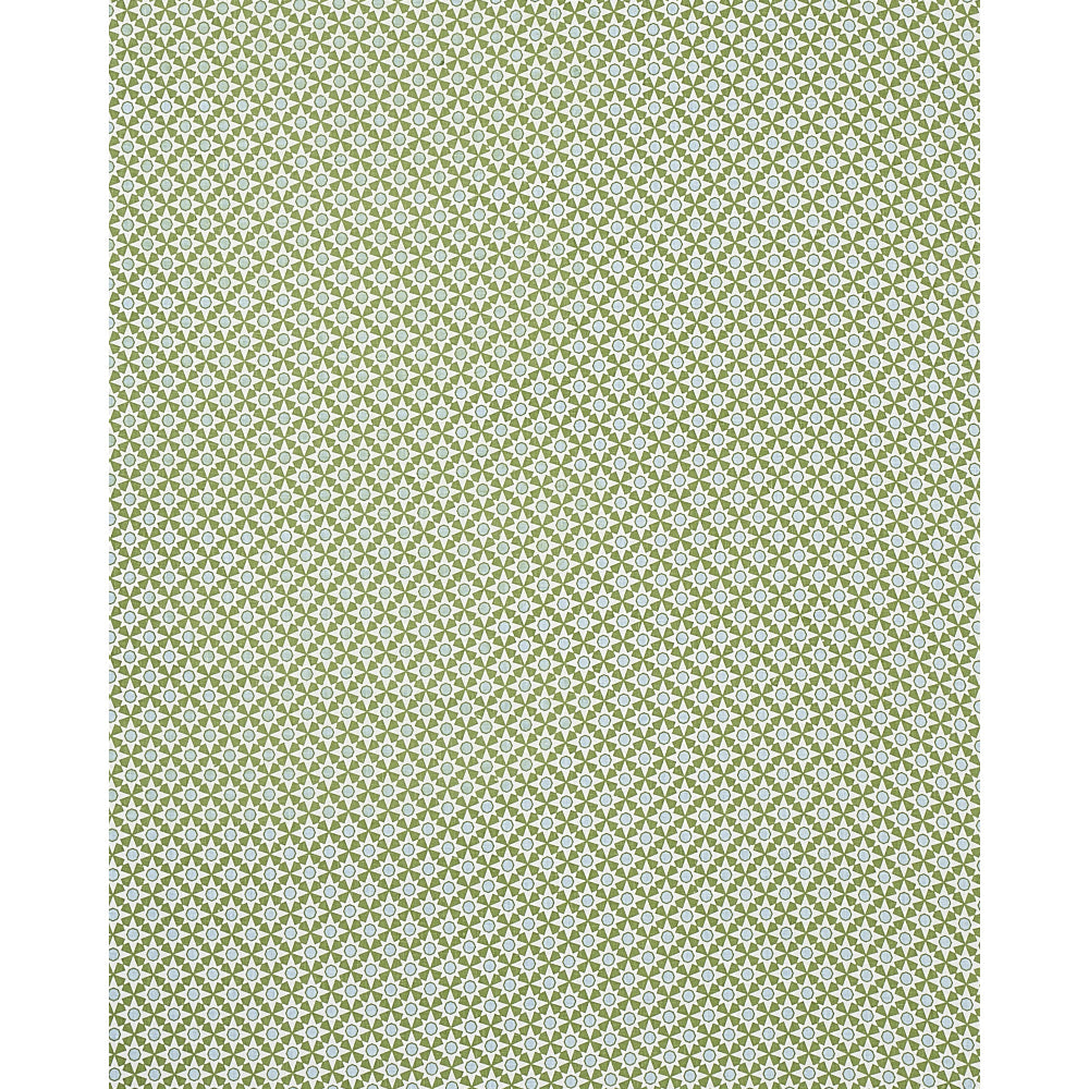 Schumacher Serendipity Green Fabric 177961