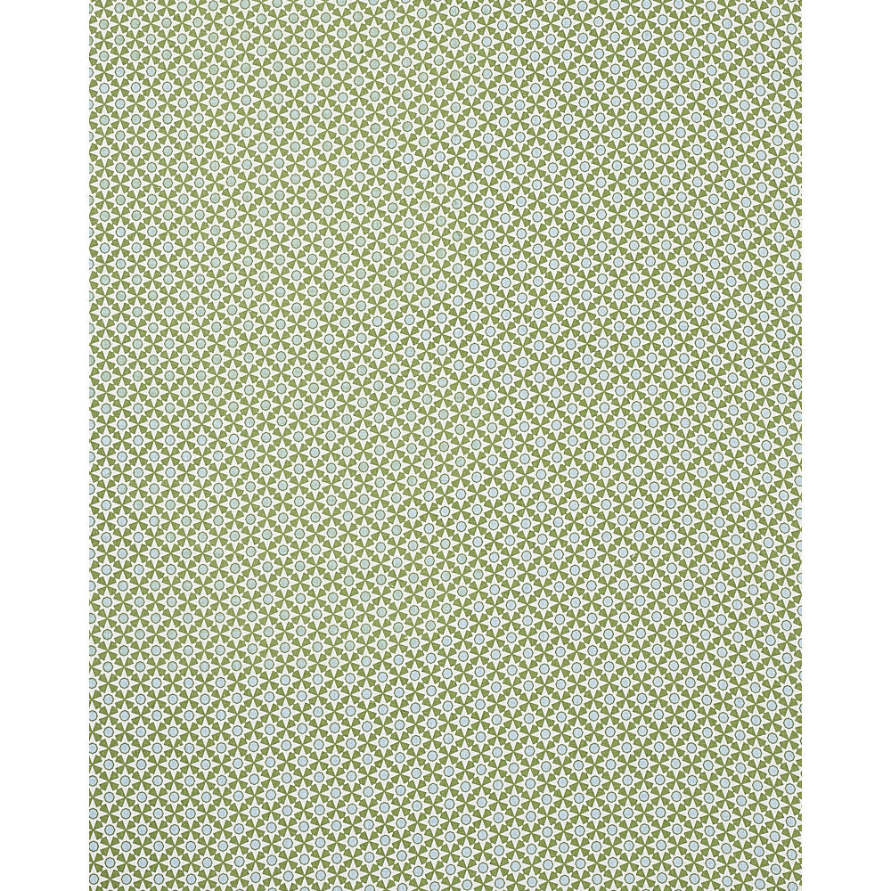 Schumacher Serendipity Green Fabric Sample 177961