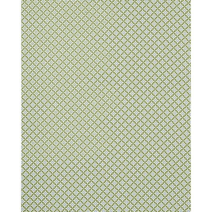 Schumacher Serendipity Green Fabric Sample 177961