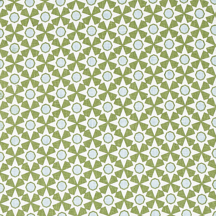 Schumacher Serendipity Green Fabric Sample 177961