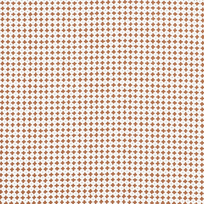 Schumacher Polka Brown Fabric Sample 178242