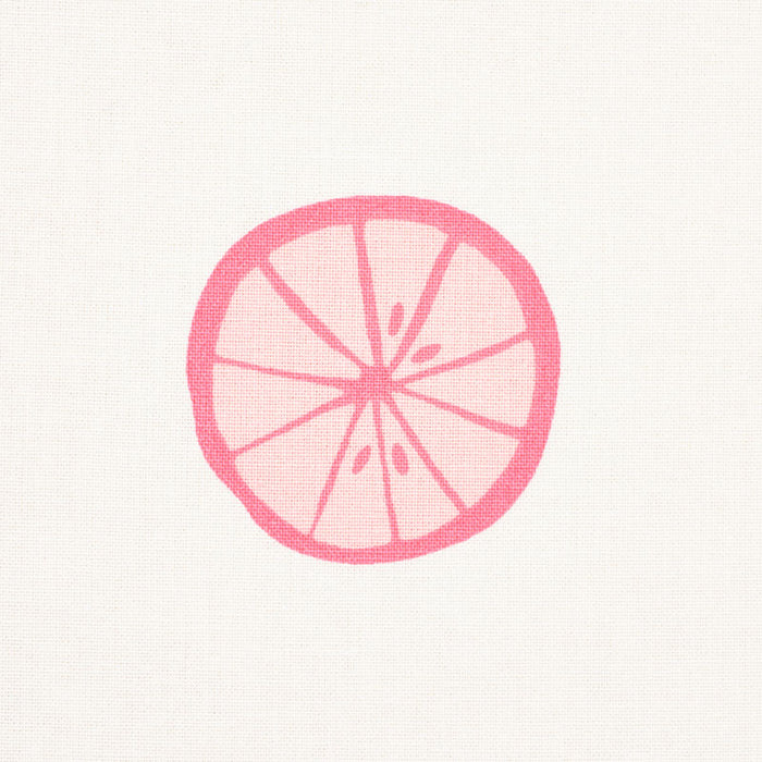 Schumacher Lemonade Grapefruit Fabric 178261