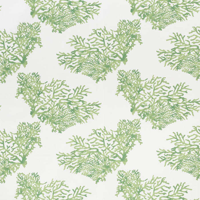 Schumacher Great Barrier Reef Ii Green Fabric 178291