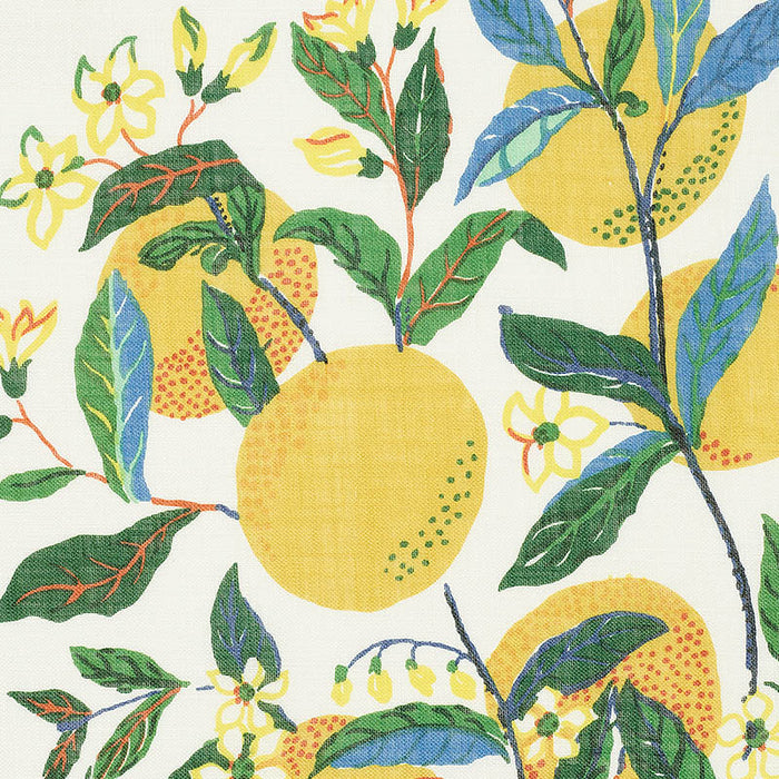 Schumacher Citrus Garden Sheer Primary Fabric 178350