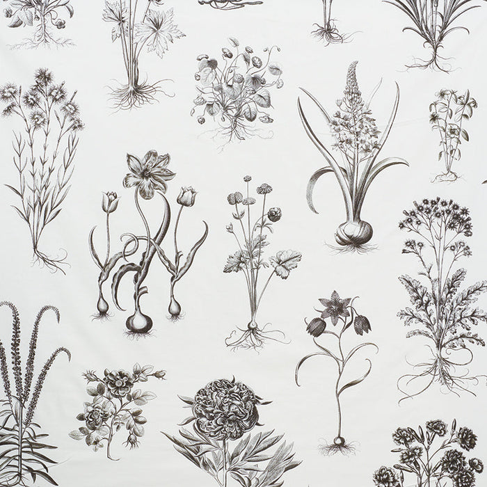 Schumacher Cabot Botanical Large Ivory Fabric Sample 178740