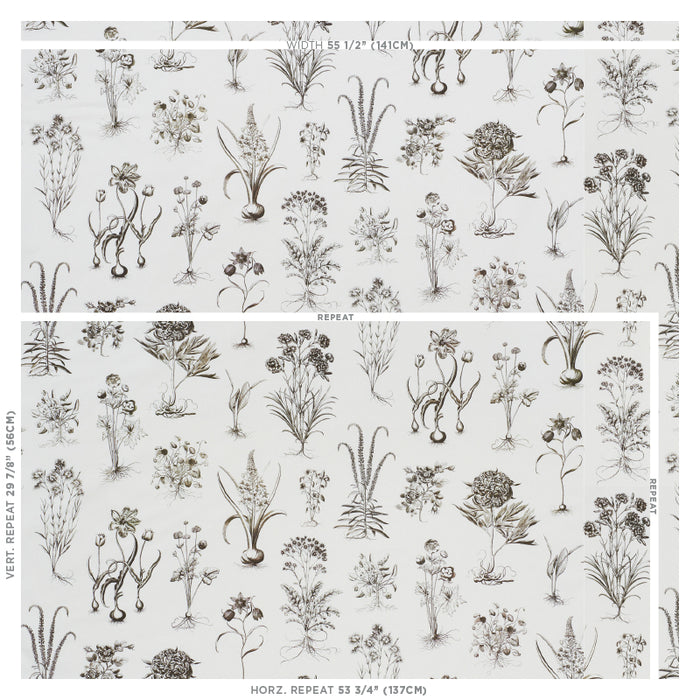 Schumacher Cabot Botanical Ivory Fabric 178751