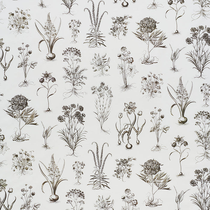 Schumacher Cabot Botanical Ivory Fabric Sample 178751