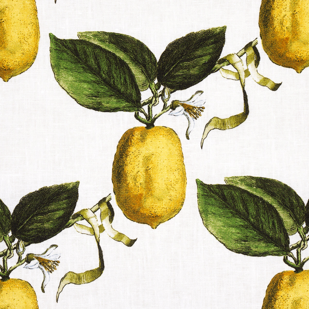 Schumacher Le Citron Ivory Fabric 180630.0