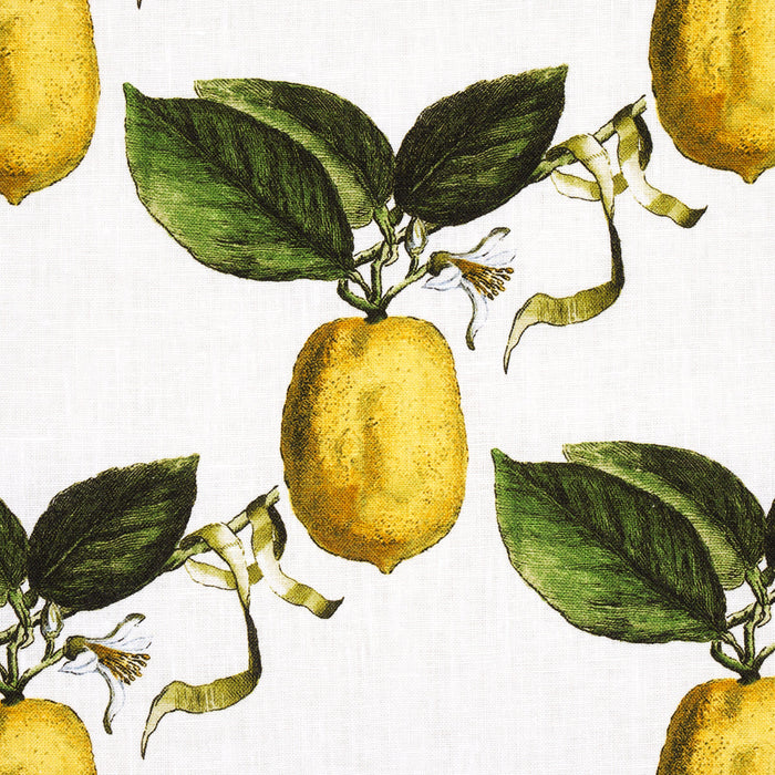 Schumacher Le Citron Ivory Fabric Sample 180630