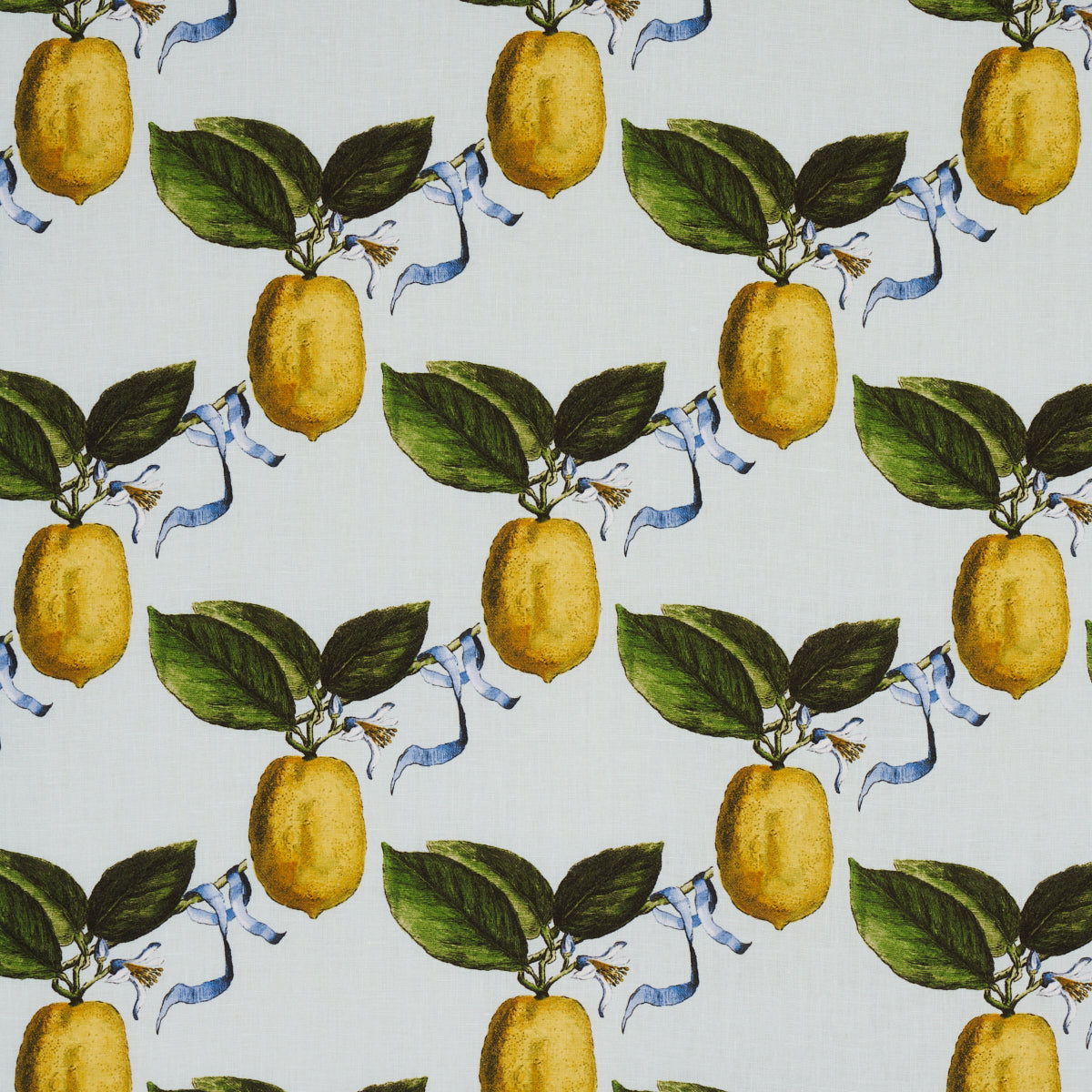 Schumacher Le Citron Sky Fabric 180631.0