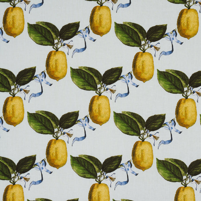 Schumacher Le Citron Sky Fabric Sample 180631