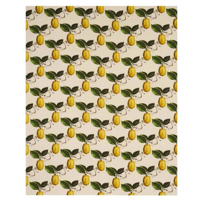 Schumacher Le Citron Natural Fabric Sample 180632