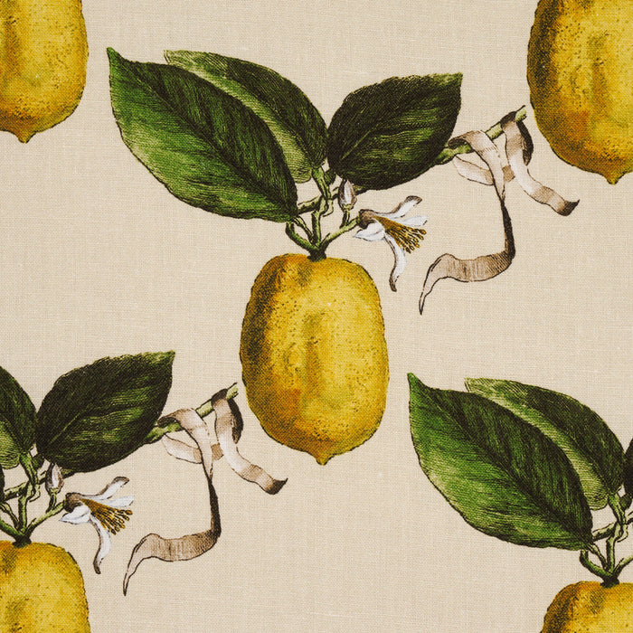 Schumacher Le Citron Natural Fabric Sample 180632