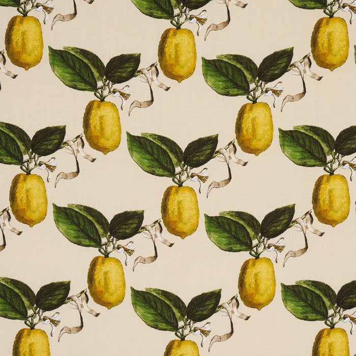 Schumacher Le Citron Natural Fabric Sample 180632