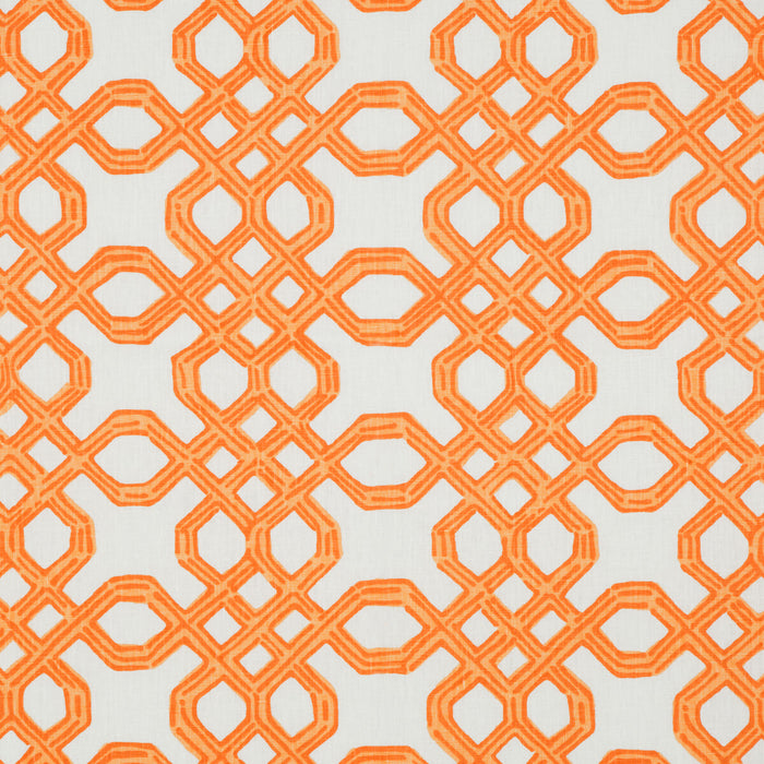 Lee Jofa Well Connected Clementine Fabric 2011101.12.0