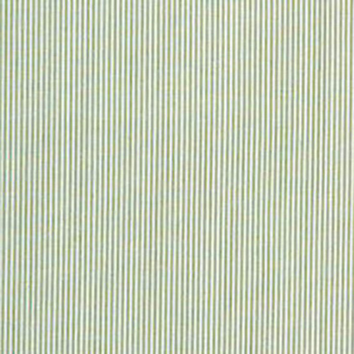 Lee Jofa Captiva Ticking Green Fabric 2012178.23.0