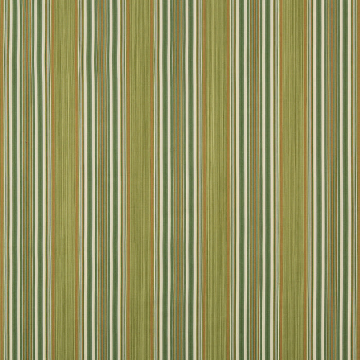 Lee Jofa Vyne Stripe Greenery Fabric 2019103.233.0