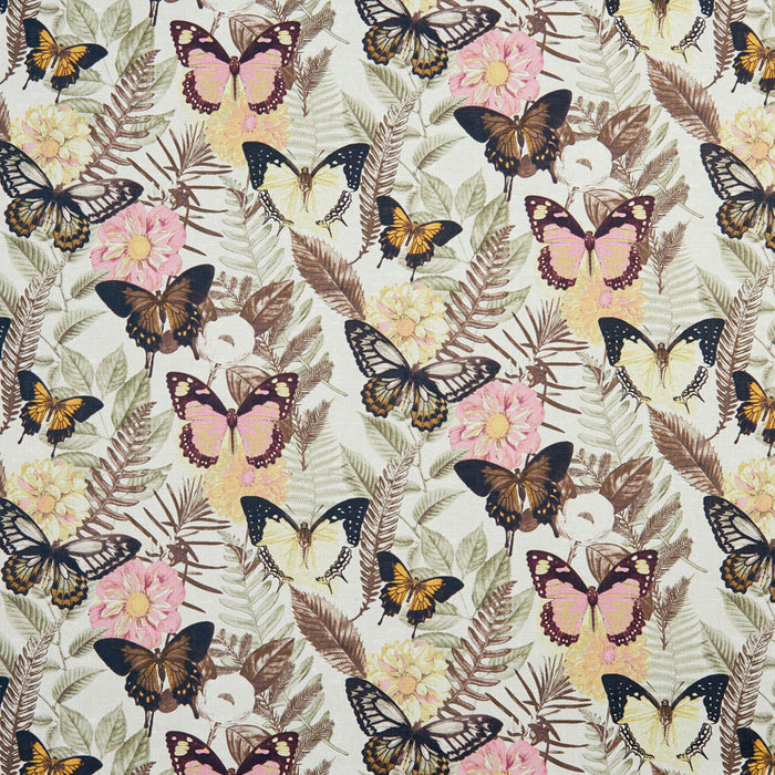 Charlotte  Fabric Sample 20470-01