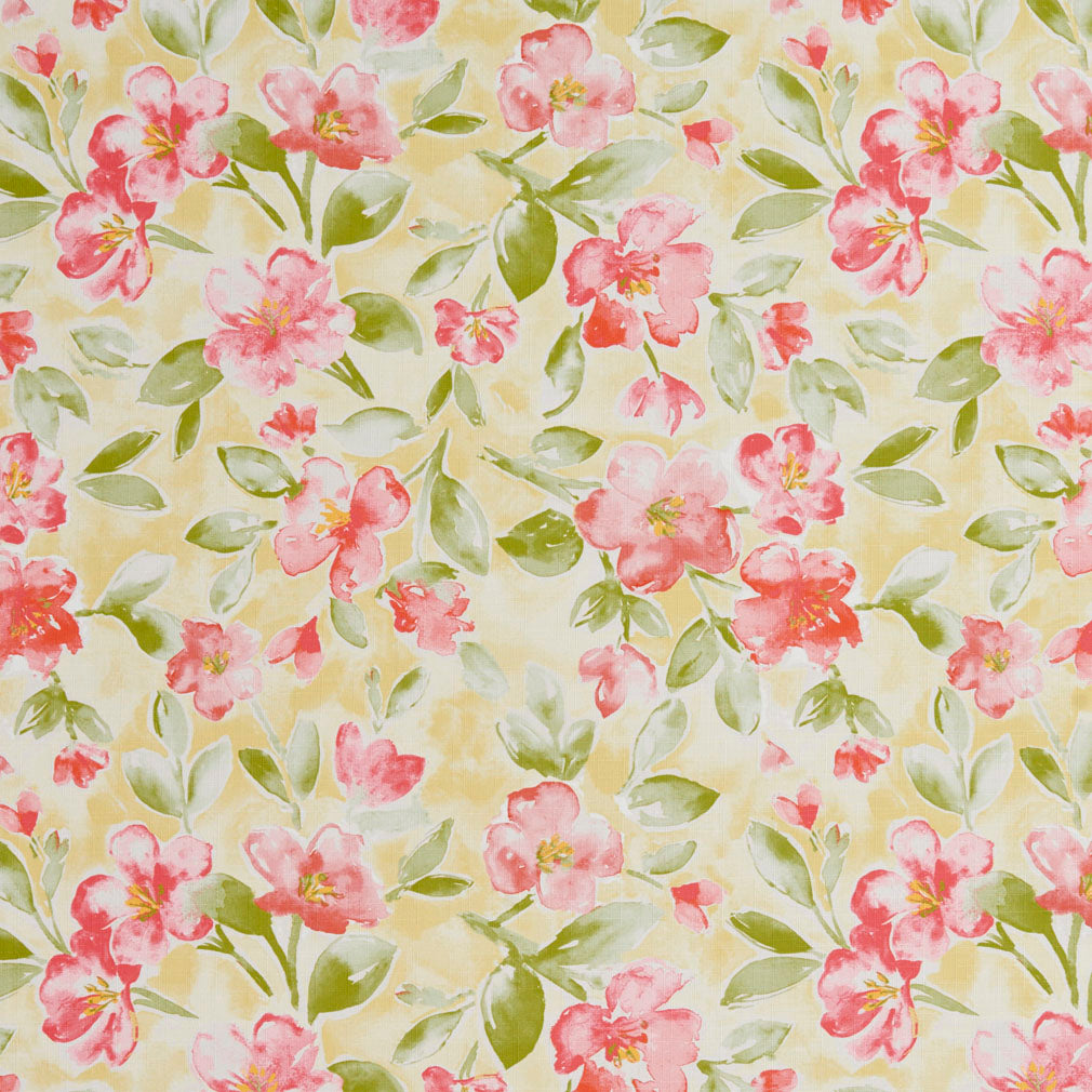 Charlotte  Fabric 20500-01