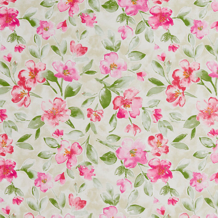 Charlotte  Fabric Sample 20500-05