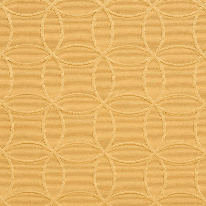 Charlotte  Fabric Sample 20610-09