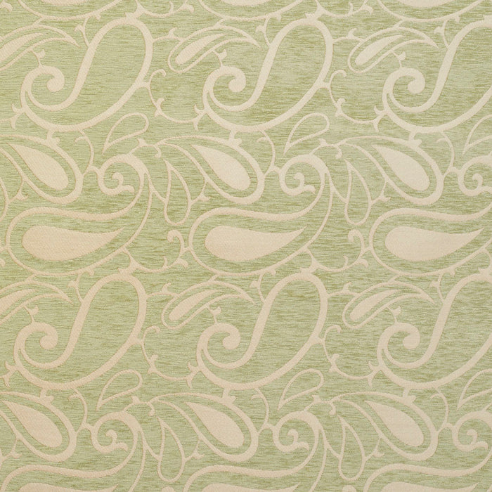 Charlotte  Fabric Sample 20800-06