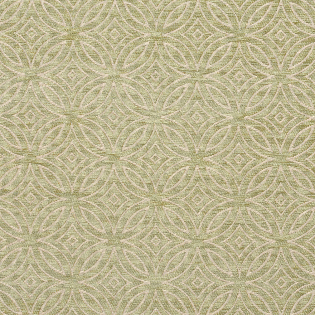 Charlotte  Fabric 20810-06