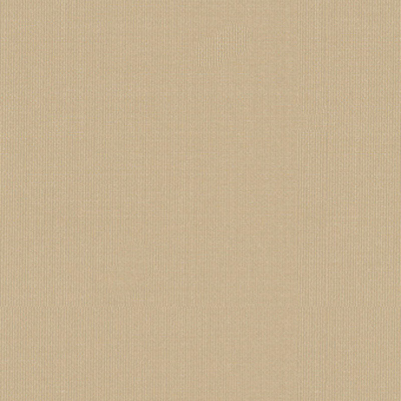 Schumacher Sargent Silk Taffeta Vanilla Fabric 22612