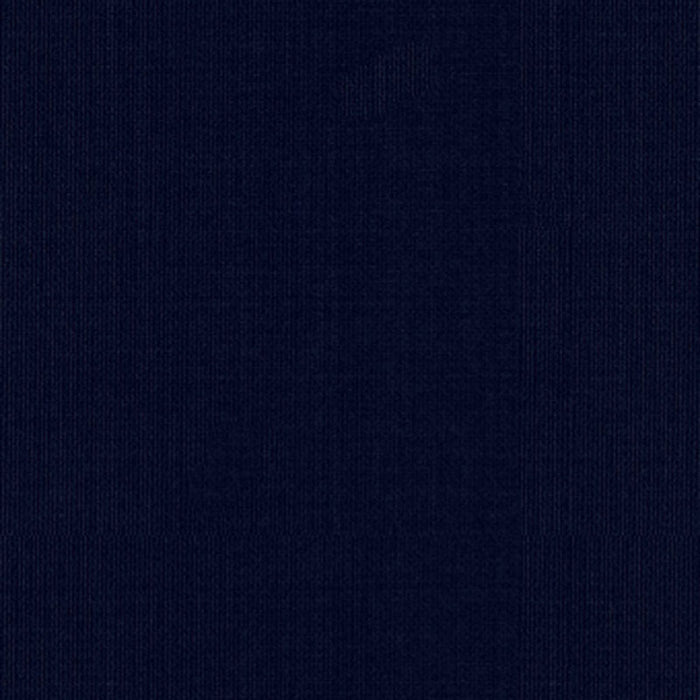 Schumacher Sargent Silk Taffeta Navy Fabric Sample 22643