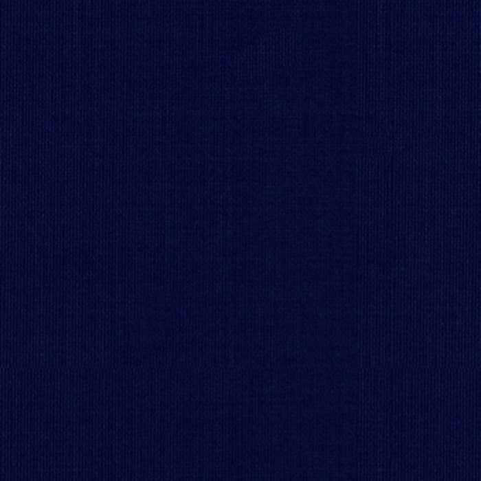 Schumacher Sargent Silk Taffeta Midnight Fabric Sample 22644