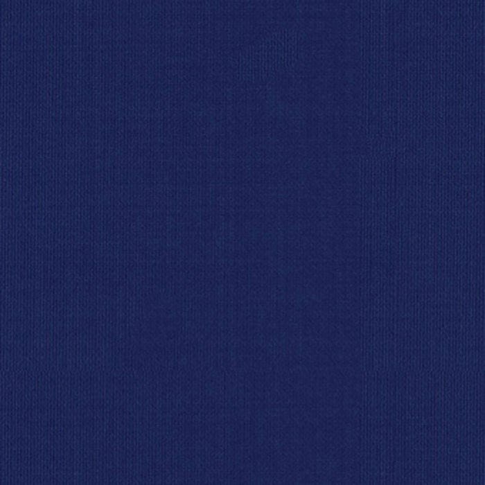 Schumacher Sargent Silk Taffeta Ultra Marine Fabric Sample 22645