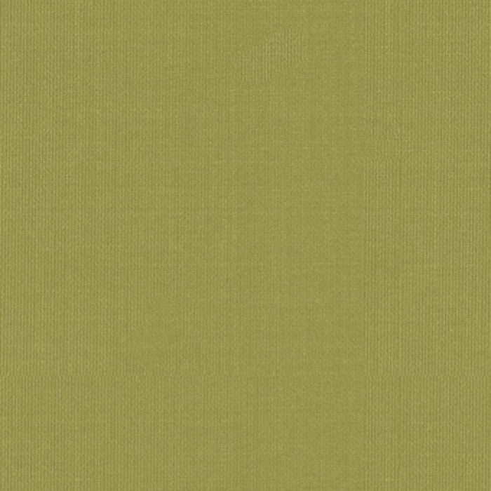 Schumacher Sargent Silk Taffeta Linden Fabric Sample 22652