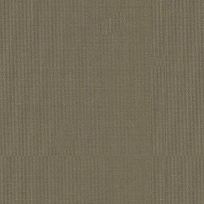 Schumacher Sargent Silk Taffeta Pebble Fabric Sample 22676