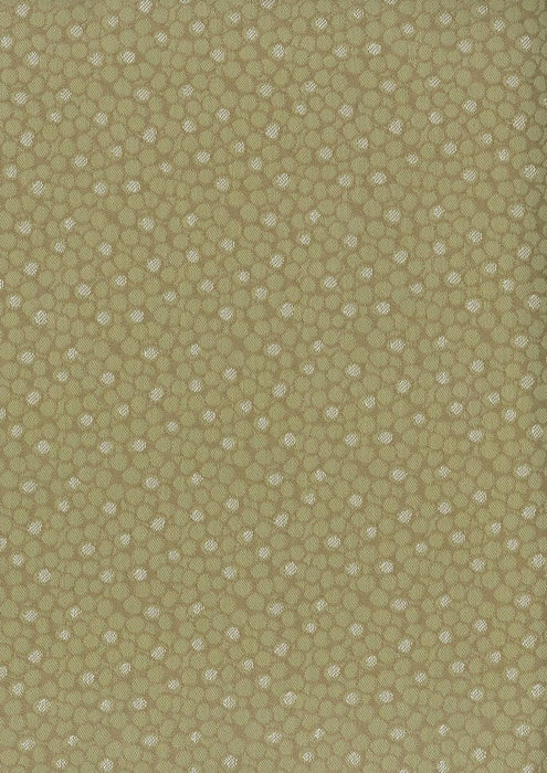 Nina Campbell Kirkham 5 Fabric NCF4081-05