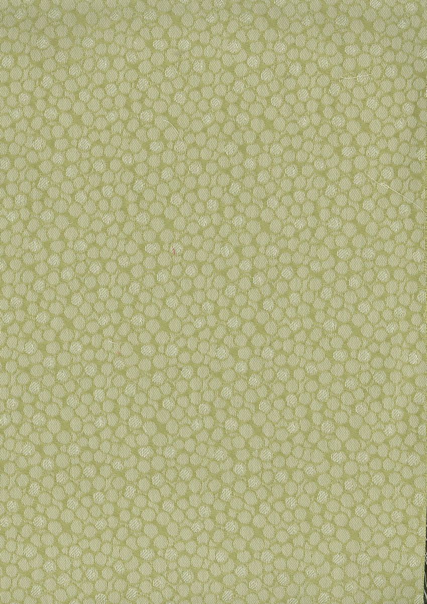 Nina Campbell Kirkham 6 Fabric NCF4081-06