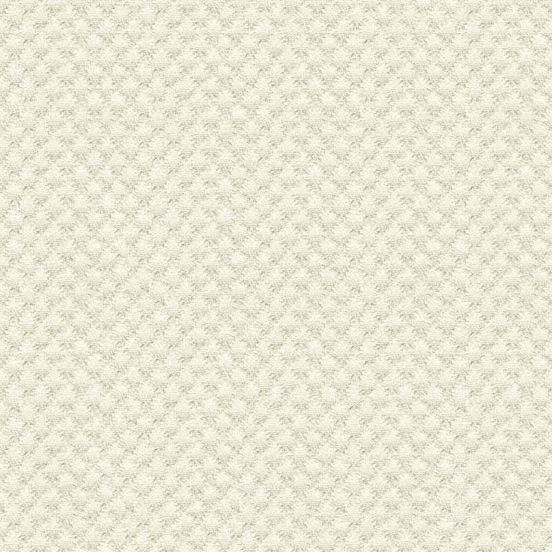 Kravet Design 25807 1 Fabric 25807.1.0