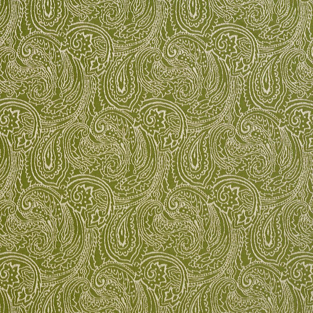 Charlotte Fern/paisley Fabric 2631